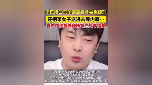 辛巴爆料三只羊内幕原视频,揭秘背后惊人真相 第3张 辛巴爆料三只羊内幕原视频,揭秘背后惊人真相 第3张